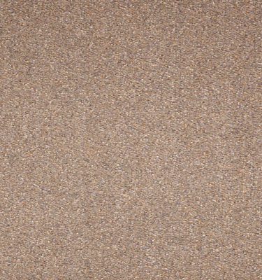 Workspace Cut Pile | Wheat, 1015C | Paragon Carpet Tiles | Commercial Carpet Tiles