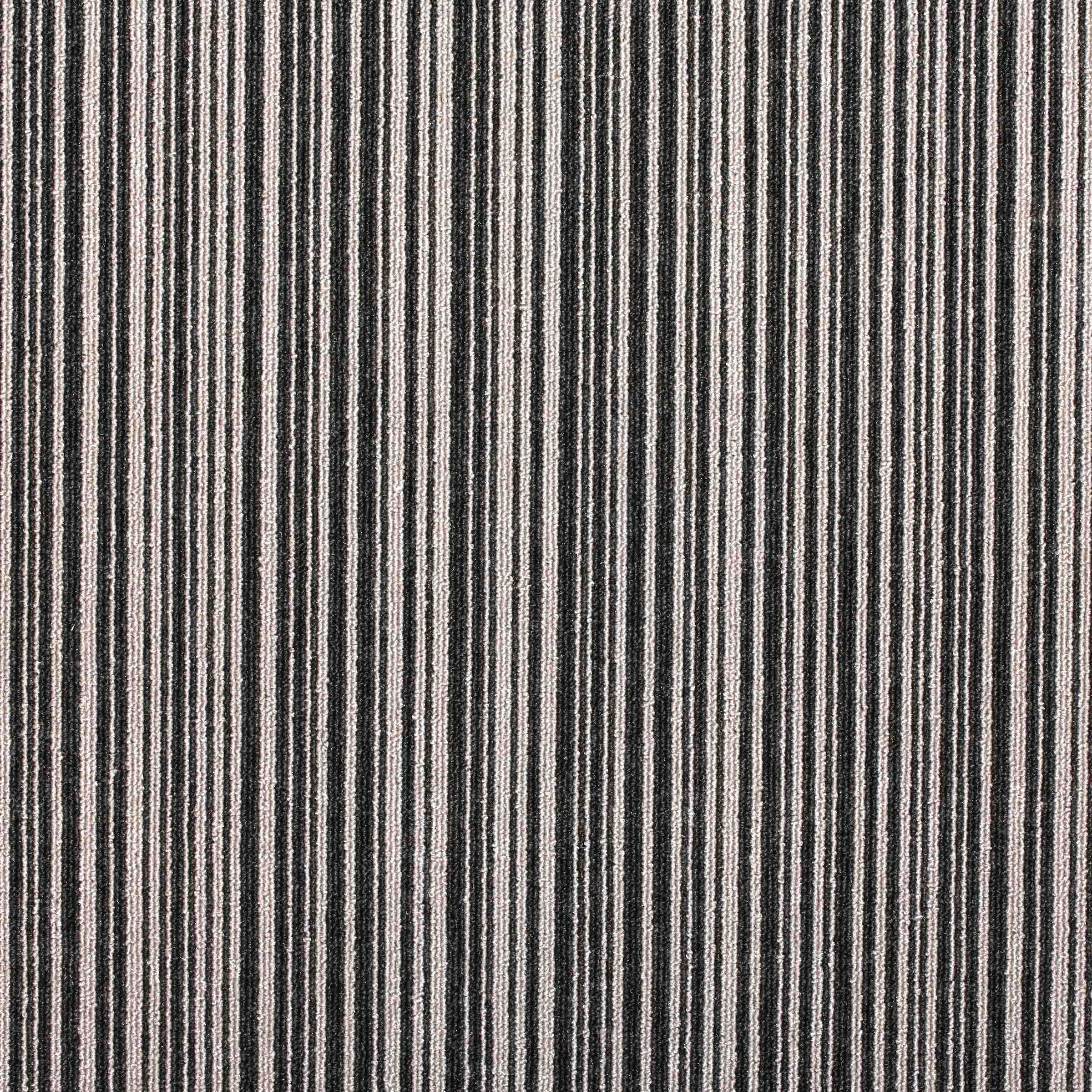 Codec | Binary, 9191 | Paragon Carpet Tiles | Commercial Carpet Tiles