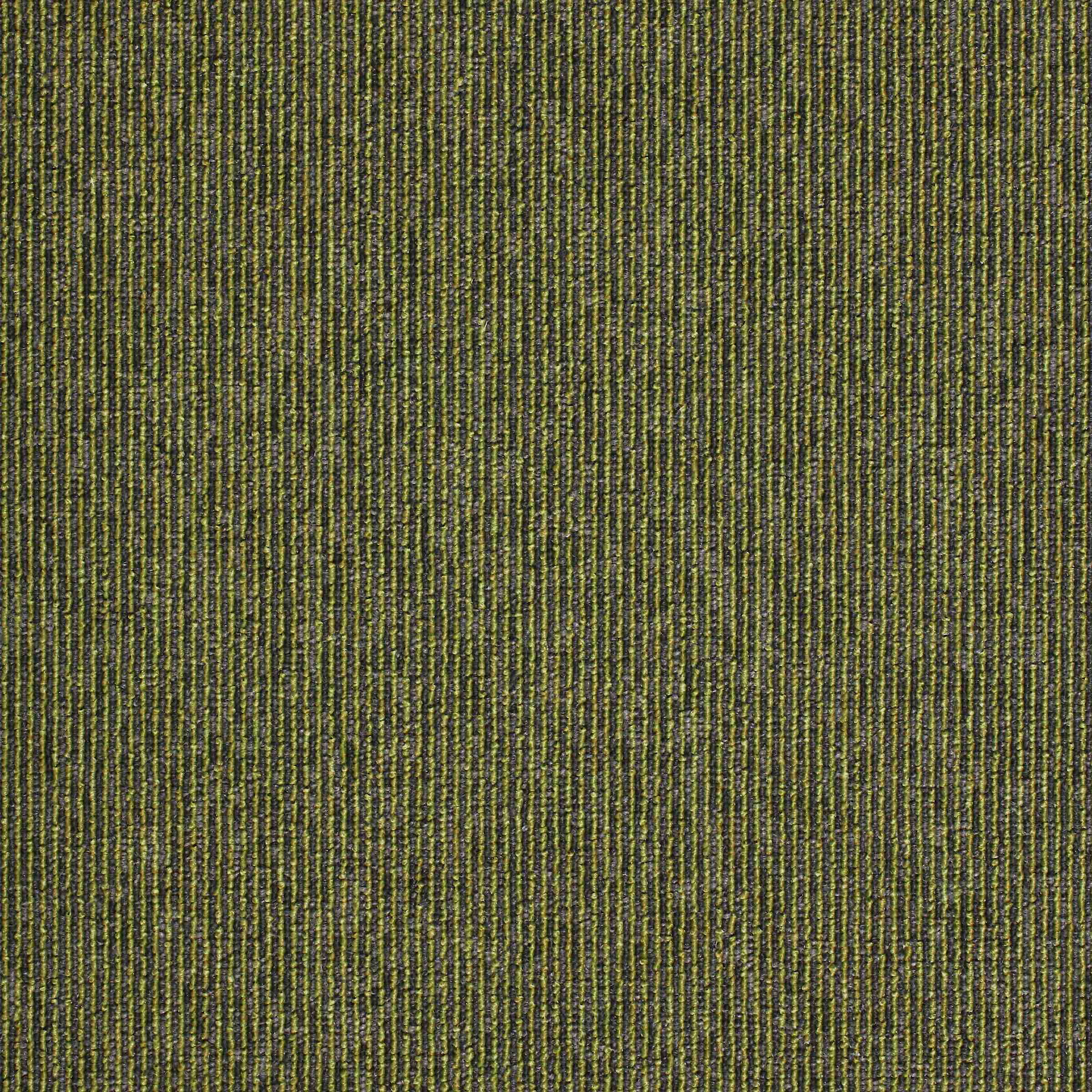 Macaw Stripe | Lime : Quartz | Paragon Carpet Tiles | Commercial Carpet Tiles