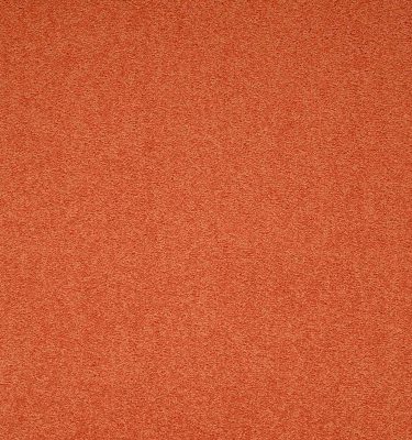 Maestro | Auburn Falls, 322 | Paragon Carpet Tiles | Commercial Carpet Tiles