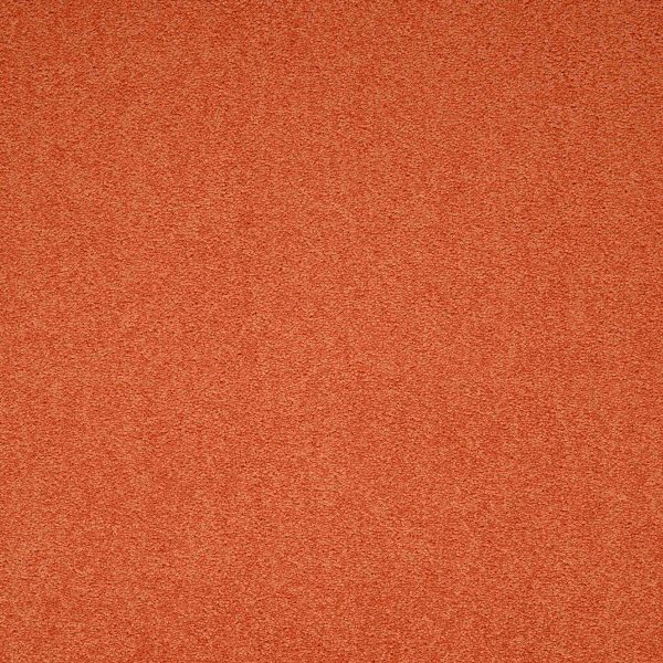 Maestro | Auburn Falls, 322 | Paragon Carpet Tiles | Commercial Carpet Tiles