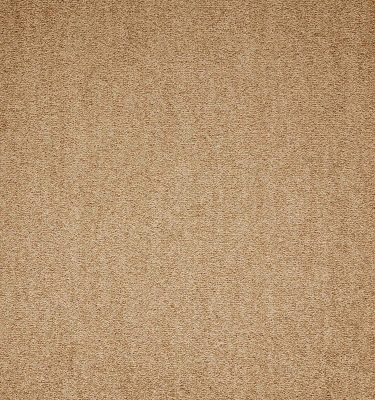 Maestro | Beige, 600 | Paragon Carpet Tiles | Commercial Carpet Tiles