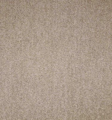 Maestro | Bracken Salts, 817 | Paragon Carpet Tiles | Commercial Carpet Tiles