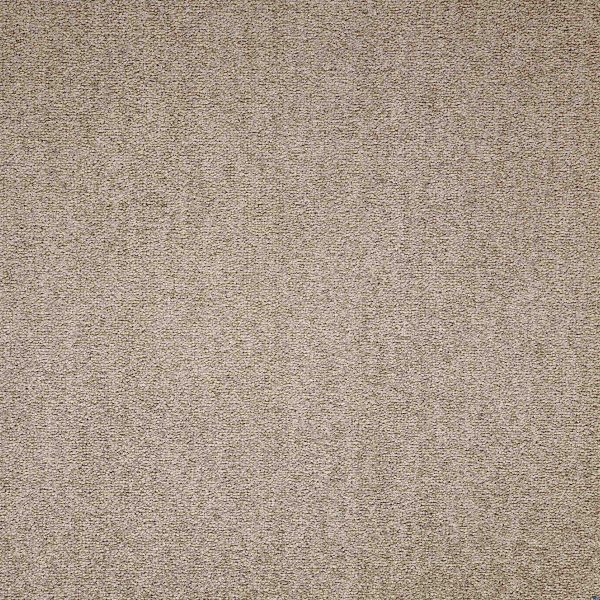Maestro | Bracken Salts, 817 | Paragon Carpet Tiles | Commercial Carpet Tiles