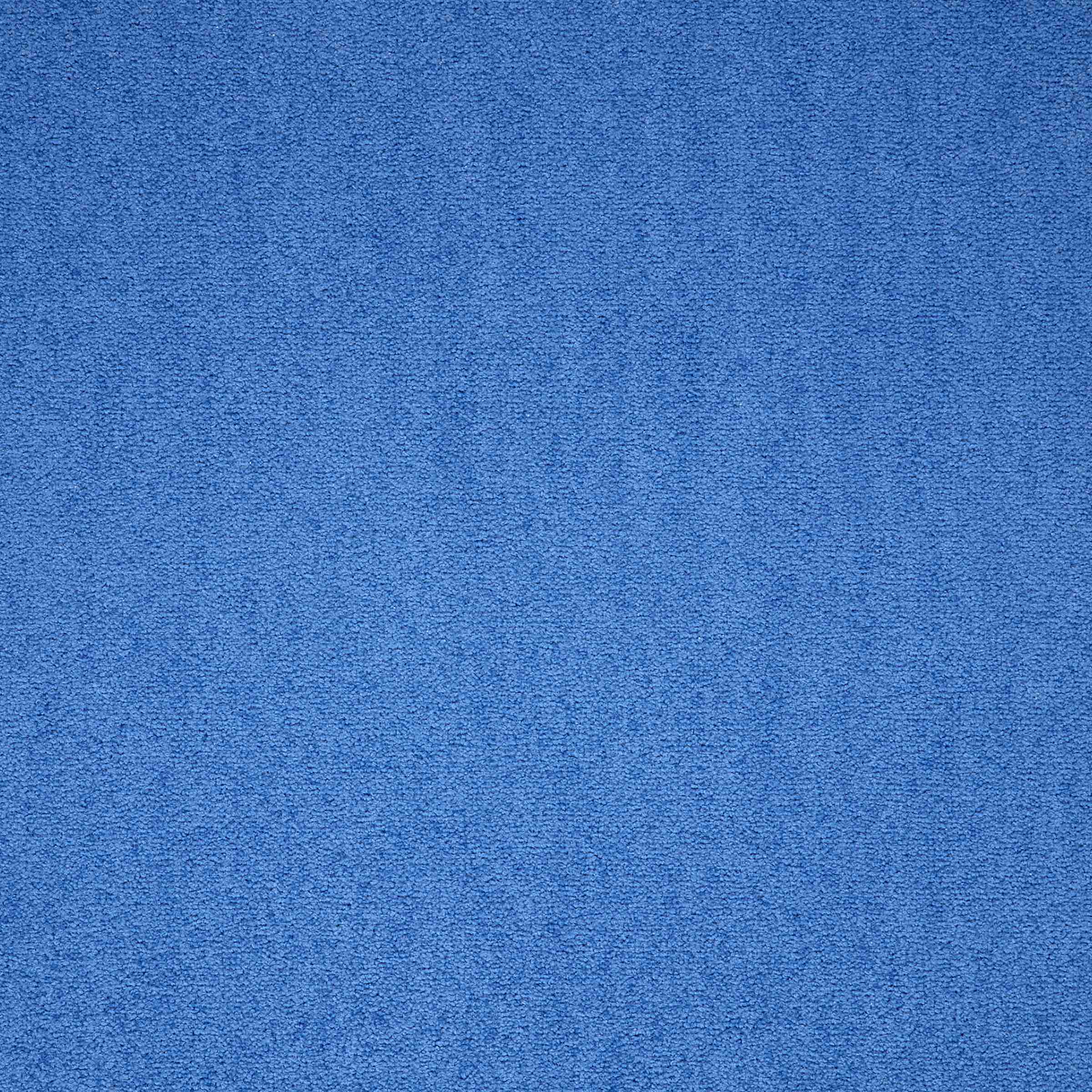 Maestro | Celestial Blue, 569 | Paragon Carpet Tiles | Commercial Carpet Tiles