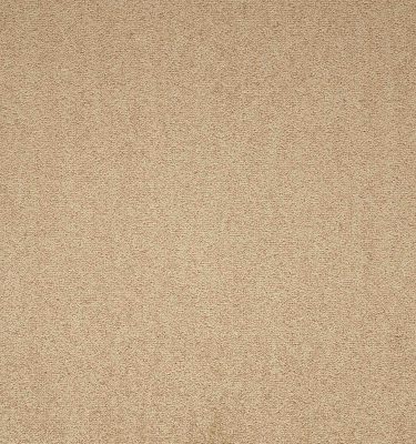 Maestro | Earth Glaze, 224 | Paragon Carpet Tiles | Commercial Carpet Tiles