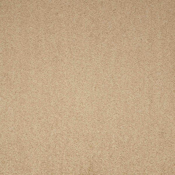 Maestro | Earth Glaze, 224 | Paragon Carpet Tiles | Commercial Carpet Tiles