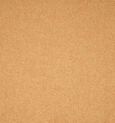 Maestro | Gold, 300 | Paragon Carpet Tiles | Commercial Carpet Tiles