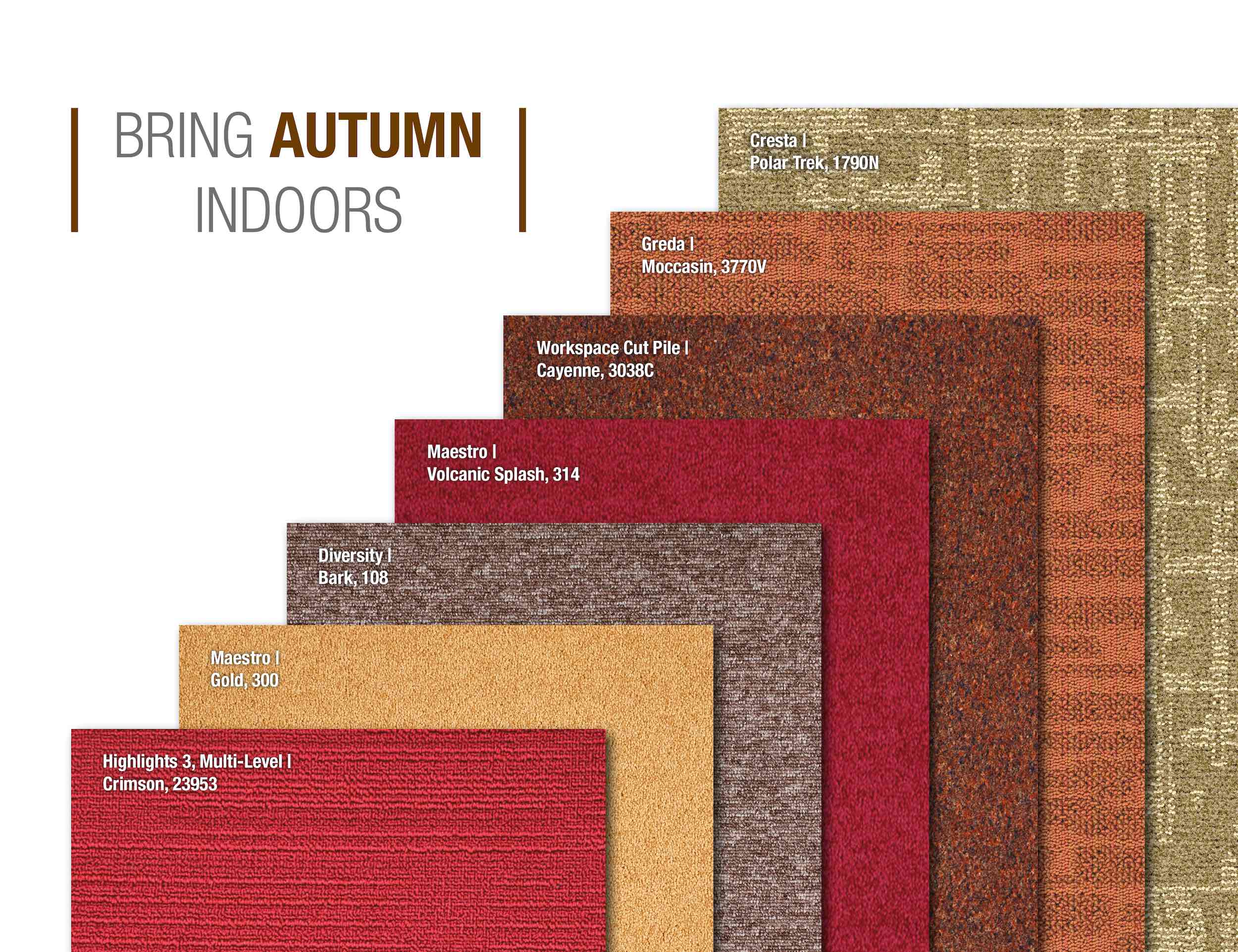 Paragon Carpet Tiles | Autumn Indoors Inspiration | Commercial Carpet Tiles