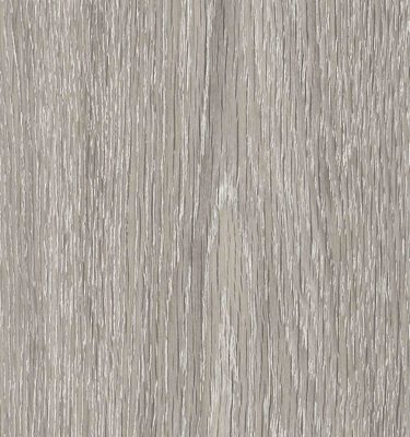 Rappórt | French Grey Elm, 2895 | Paragon Carpet Tiles | Commercial Carpet Tiles