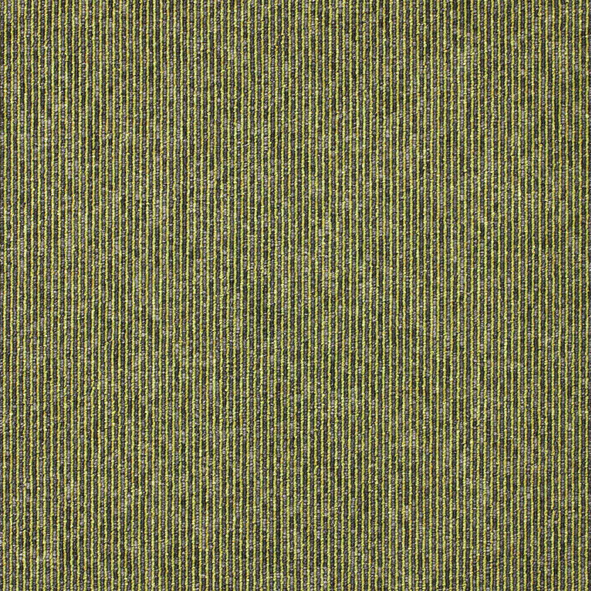 Sirocco Stripe | Spearmint | Paragon Carpet Tiles | Commercial Carpet Tiles